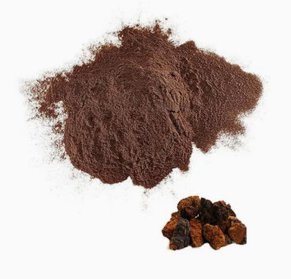 Polysaccharides naturels de 10% à 50% Extrait de chaga Extrait en poudre CAS 84650-60-9