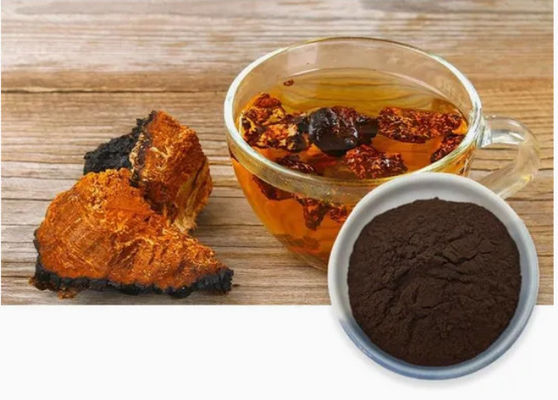 Polysaccharides naturels de 10% à 50% Extrait de chaga Extrait en poudre CAS 84650-60-9
