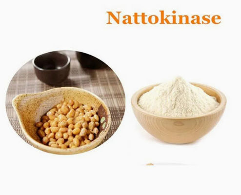 Ingrédient naturel Soins de santé Enzymes de la nattokinase Extrait CAS 133876-92-3 Nattokinase