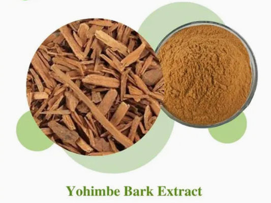 Extrait de poudre d'écorce de Yohimbe de qualité alimentaire CAS NO 65-19-0