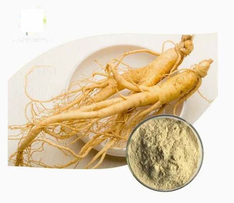 Extrait de ginseng naturel organique de haute qualité CAS NO 90045-38-8 Saponines monomères de ginseng