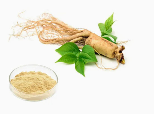 Extrait de ginseng naturel organique de haute qualité CAS NO 90045-38-8 Saponines monomères de ginseng