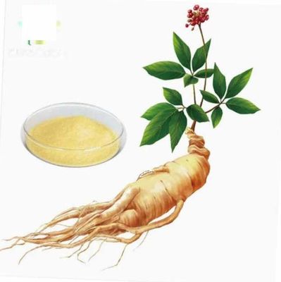 Extrait de ginseng naturel organique de haute qualité CAS NO 90045-38-8 Saponines monomères de ginseng