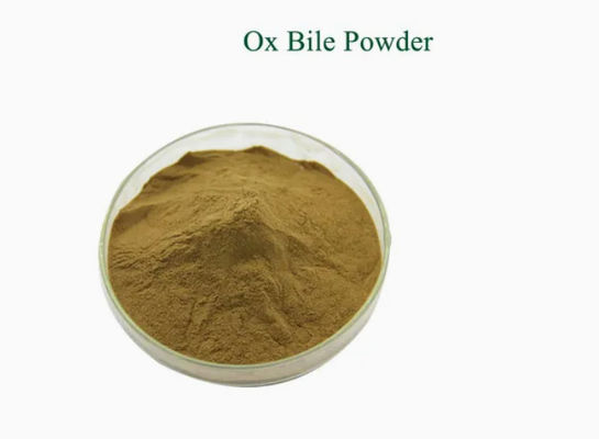 Produit pharmaceutique intermédiaire en poudre de bile de bœuf CAS 8008-63-7 Extrait de bile de bœuf