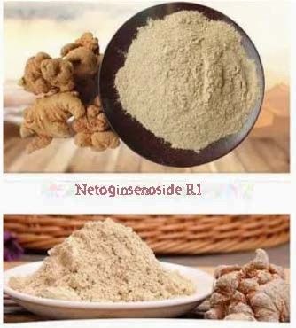 Produit de soins de santé Médecine Netoginsénoside R1 CAS NO 80418-24-2 HPLC Qualité UV