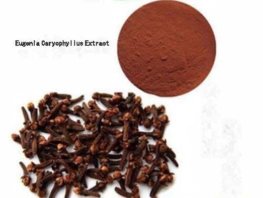 Extrait de Eugenia Caryophyllus CAS NO 84961-50-2 Produits de santé nutritionnels