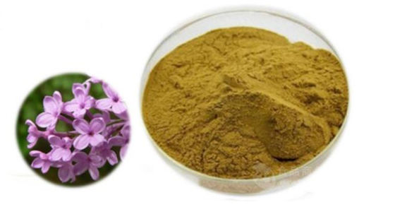 Extrait de Eugenia Caryophyllus CAS NO 84961-50-2 Produits de santé nutritionnels