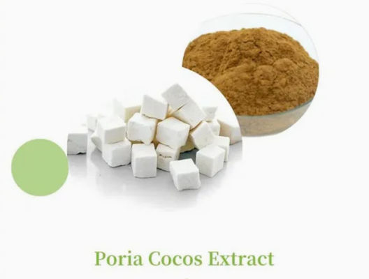 Extrait de plante Herbway en poudre Extrait de coco Poria CAS NO 65637-98-1 50% polysaccharide