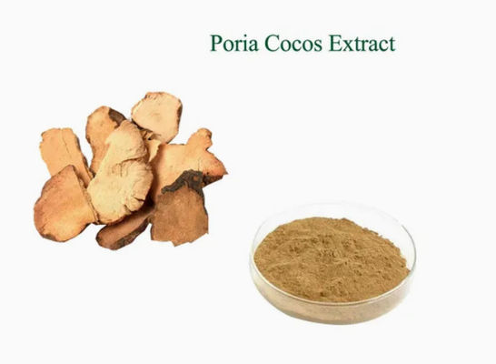 Extrait de plante Herbway en poudre Extrait de coco Poria CAS NO 65637-98-1 50% polysaccharide