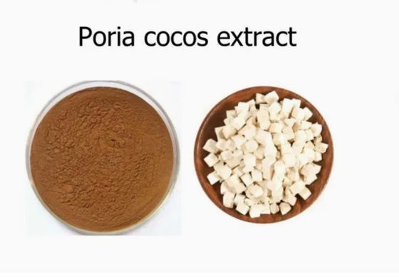 Extrait de plante Herbway en poudre Extrait de coco Poria CAS NO 65637-98-1 50% polysaccharide