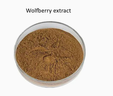 Extrait de baies de goji naturel pur et antioxydant