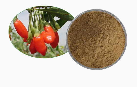 Extrait de baies de goji naturel pur et antioxydant