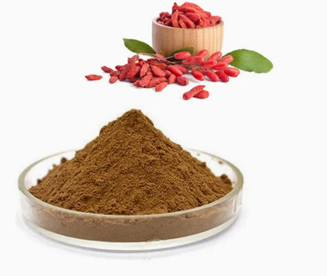 Extrait de baies de goji naturel pur et antioxydant