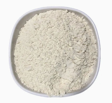 Produits de la nature chinoise Herbes de santé Matières premières Extrait de yams CAS NO 90147-49-2 Grade alimentaire
