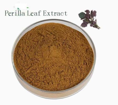 Extrait de feuille de perilla naturel organique CAS NO 90082-61-4 Poudre d'herbes annuelles