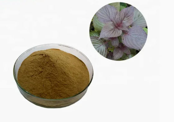 Extrait de feuille de perilla naturel organique CAS NO 90082-61-4 Poudre d'herbes annuelles