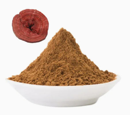 Médecine à base de plantes Poudre de spores de Ganoderma Lucidum CAS NO 223751-82-4 Naturel organique
