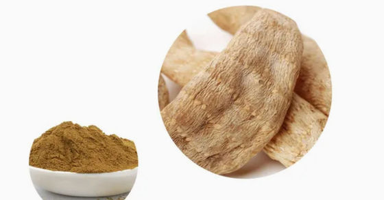 Produits pharmaceutiques Soins de santé Extraits de Gastrodia Elata CAS NO 62499-27-8 Gastrodia Elata BL