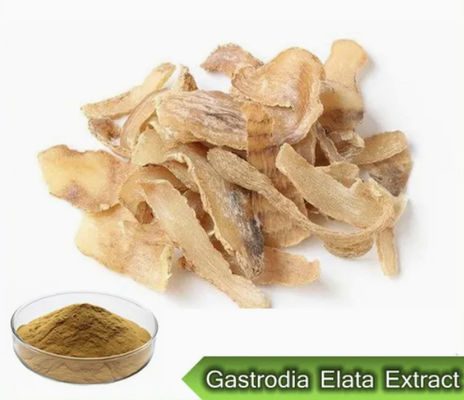 Produits pharmaceutiques Soins de santé Extraits de Gastrodia Elata CAS NO 62499-27-8 Gastrodia Elata BL