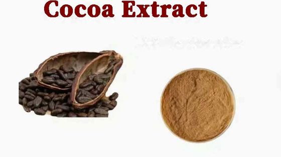 Extrait de cacao naturel pur Théobromine CAS NO 83-67-0 Extraits de plantes Additif alimentaire