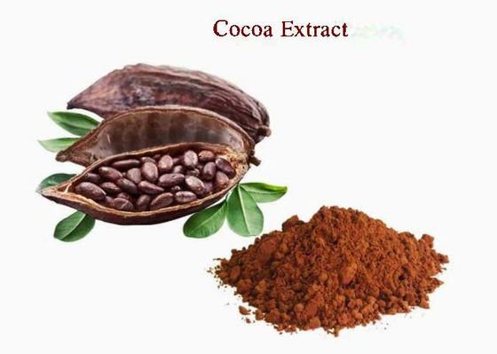 Extrait de cacao naturel pur Théobromine CAS NO 83-67-0 Extraits de plantes Additif alimentaire