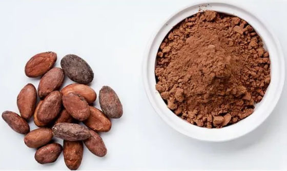 Extrait de cacao naturel pur Théobromine CAS NO 83-67-0 Extraits de plantes Additif alimentaire