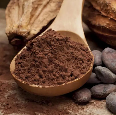 Extrait de cacao naturel pur Théobromine CAS NO 83-67-0 Extraits de plantes Additif alimentaire