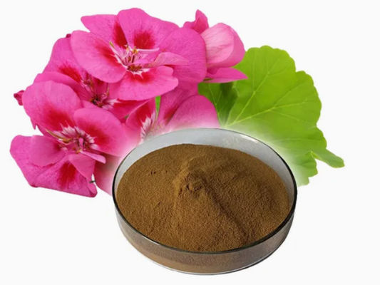 Extrait d'extrait de géranium de qualité alimentaire organique en poudre CAS NO 8000-46-2 Pelargonium Hortorum