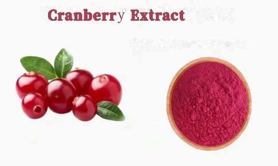 Extraits de canneberge naturels purs et frais CAS NO 84929-27-1 Poudre 25% anthocyanidine