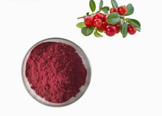 Extraits de canneberge naturels purs et frais CAS NO 84929-27-1 Poudre 25% anthocyanidine