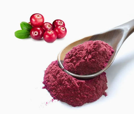 Extraits de canneberge naturels purs et frais CAS NO 84929-27-1 Poudre 25% anthocyanidine