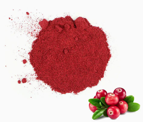 Extraits de canneberge naturels purs et frais CAS NO 84929-27-1 Poudre 25% anthocyanidine