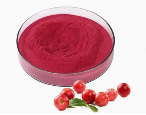 Extraits de canneberge naturels purs et frais CAS NO 84929-27-1 Poudre 25% anthocyanidine