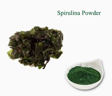 Extraits végétaux Supplément de santé Spiruline CAS NO 724424-92-4 Poudre d'algues vertes