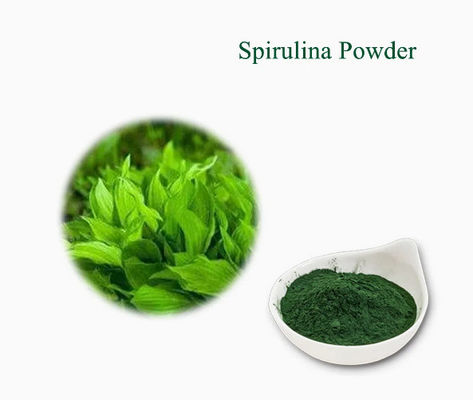 Extraits végétaux Supplément de santé Spiruline CAS NO 724424-92-4 Poudre d'algues vertes