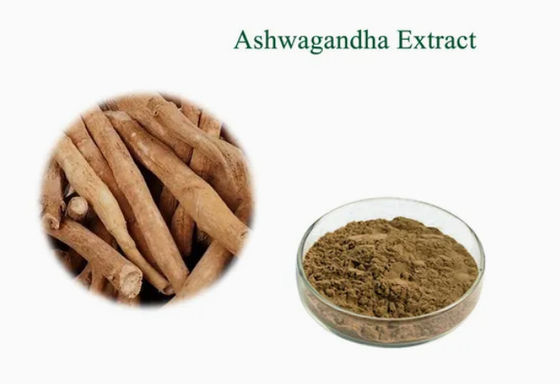 Extrait de plantes Ashwagandha Extraits ayurvédiques CAS NO 90147-43-6 5% de withanolide en poudre