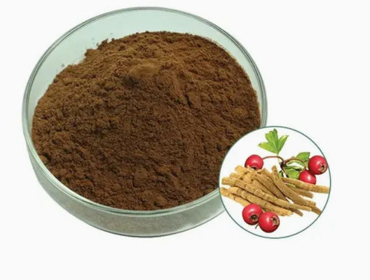 Extrait de plantes Ashwagandha Extraits ayurvédiques CAS NO 90147-43-6 5% de withanolide en poudre