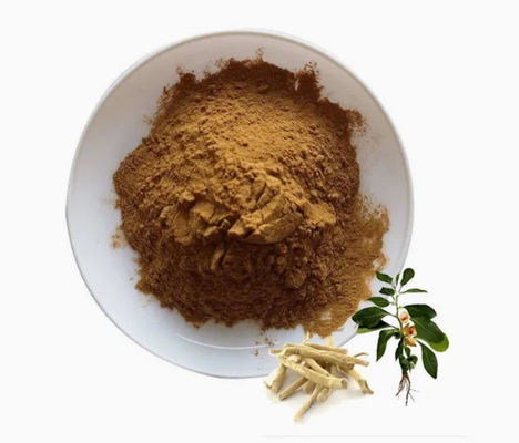 Extrait de plantes Ashwagandha Extraits ayurvédiques CAS NO 90147-43-6 5% de withanolide en poudre