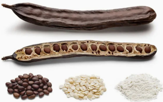 Produits alimentaires et cosmétiques biologiques poudre de gomme de caroube CAS NO 9000-40-2 gomme de haricot de sauterelle