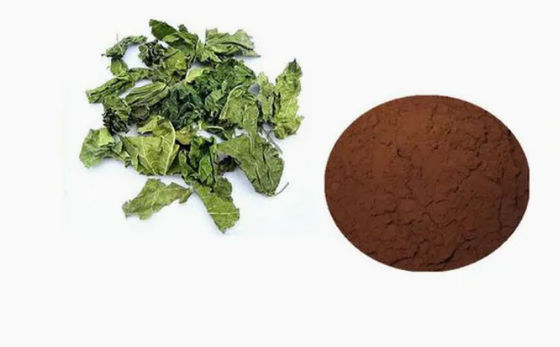 matières premières ou intermédiaires clorogéniques CAS NO 327-97-9