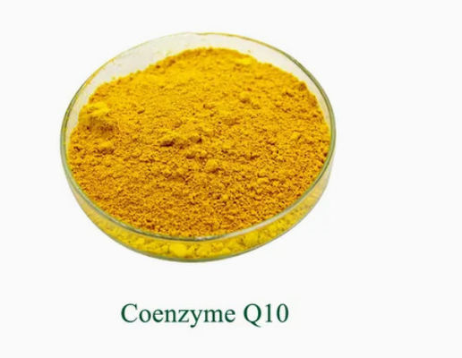 CAS N° 303-98-0 Supplément nutritionnel alimentaire santé Ubidecarénone coenzyme Q10 en poudre