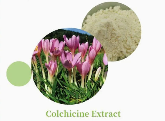 Produit pharmaceutique CAS n° 64-86-8 Extrait de colchicine USP/Ep 97~103% Colcemide Colchicine