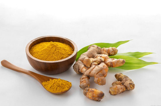 Poudre de curcumine naturelle certifiée biologique CAS NO 458-37-7 Extrait de racine végétale de curcuma