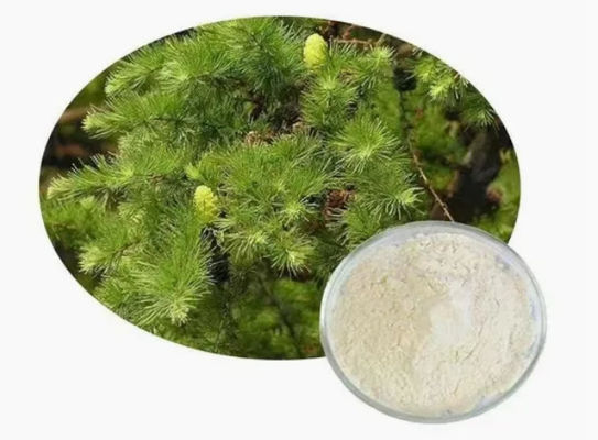 Supplément naturel Taxifoline dihydroquercétine 80% 95% 98% CAS NO 480-18-2 Extrait en poudre