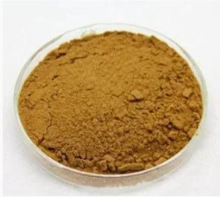 Extrait de fumaria 100% naturel CAS NO 10097-84-4 10% Tannins Extrait de fumaria officinalis