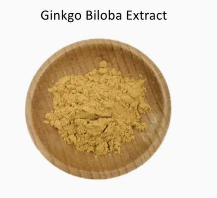 Produits pharmaceutiques Soins de santé Extrait de Ginkgo Biloba CAS NO 84696-15-1 Pure poudre naturelle