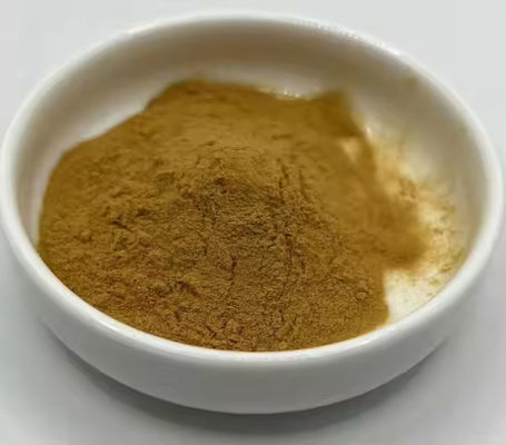 Produits pharmaceutiques Soins de santé Extrait de Ginkgo Biloba CAS NO 84696-15-1 Pure poudre naturelle