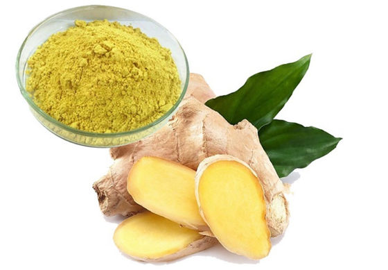 Produits pharmaceutiques Soins de santé Extrait de Ginkgo Biloba CAS NO 84696-15-1 Pure poudre naturelle