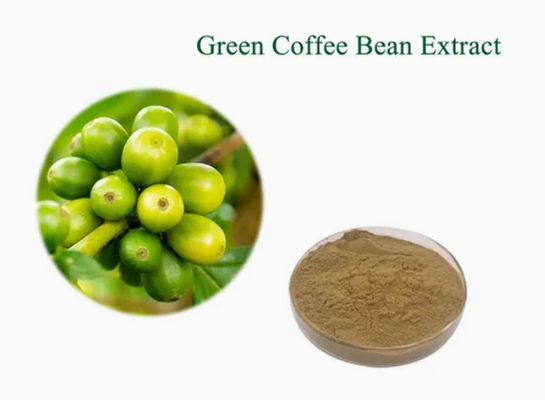 Produits pharmaceutiques Soins de santé Extrait de grains de café vert CAS NO 327-97-9 Pure poudre naturelle