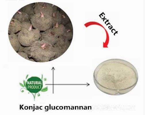 Poudre de glucomannane de konjac naturelle CAS NO 37220-17-0 Pureté Extrait de racine de konjac en poudre